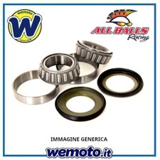 Lenklagersatz und Staubschutz